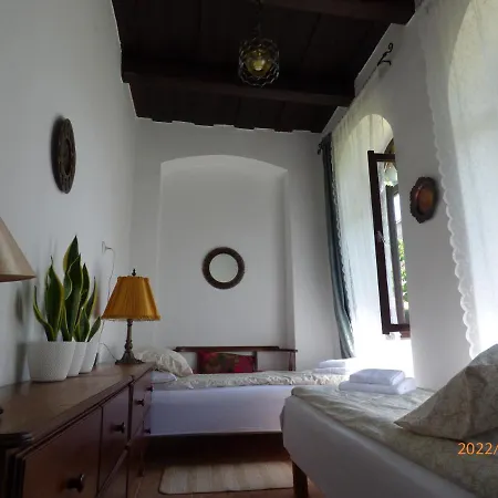 Badacsonyi Preshaz Holiday home *